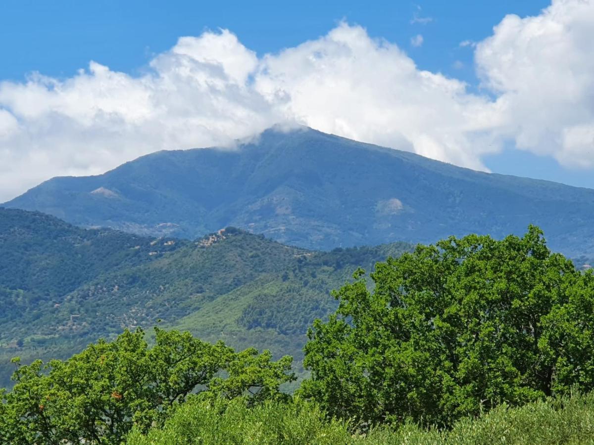 Colle Del Mirto Castelnuovo Cilento Exterior foto