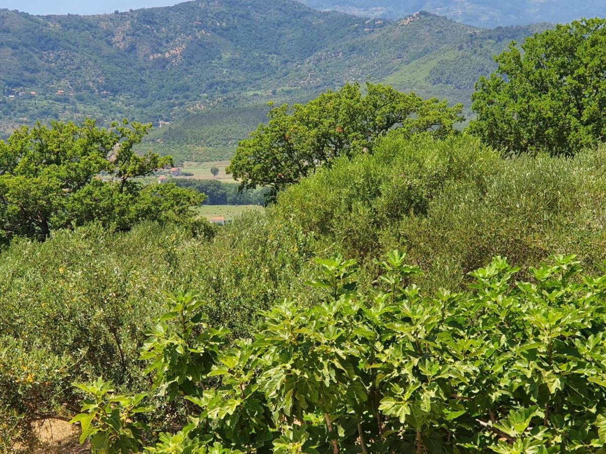 Colle Del Mirto Castelnuovo Cilento Exterior foto